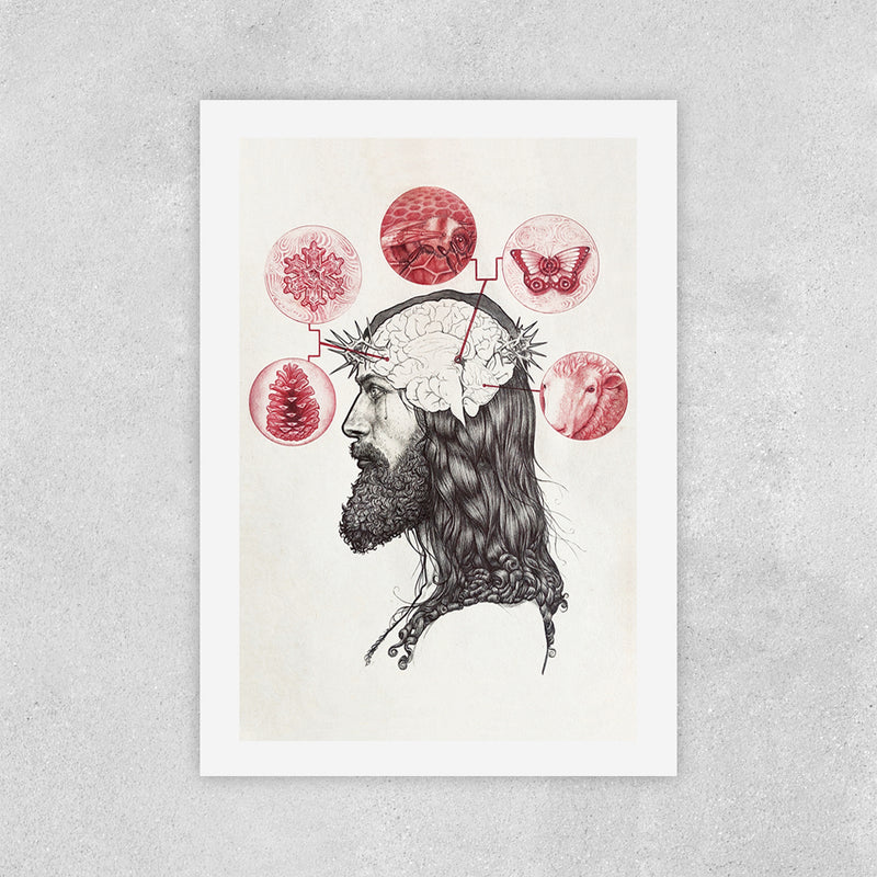 Bee & Butterfly Savior - Zero & Emily