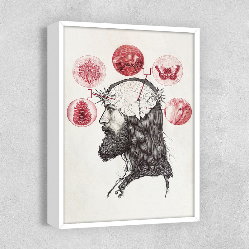 Bee & Butterfly Savior - Zero & Emily