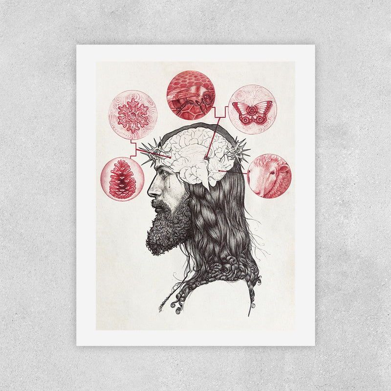 Bee & Butterfly Savior - Zero & Emily