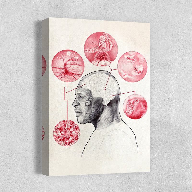 Bee & Butterfly Survival - Zero & Emily