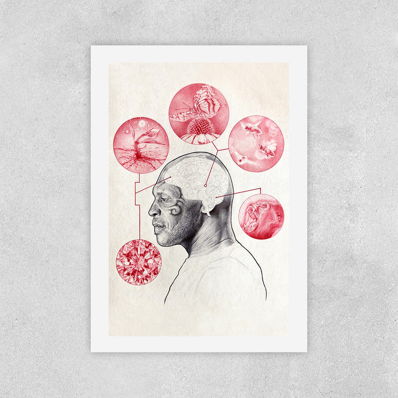 Bee & Butterfly Survival - Zero & Emily