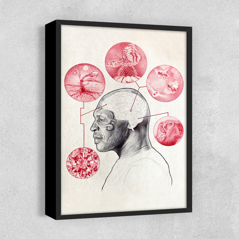 Bee & Butterfly Survival - Zero & Emily