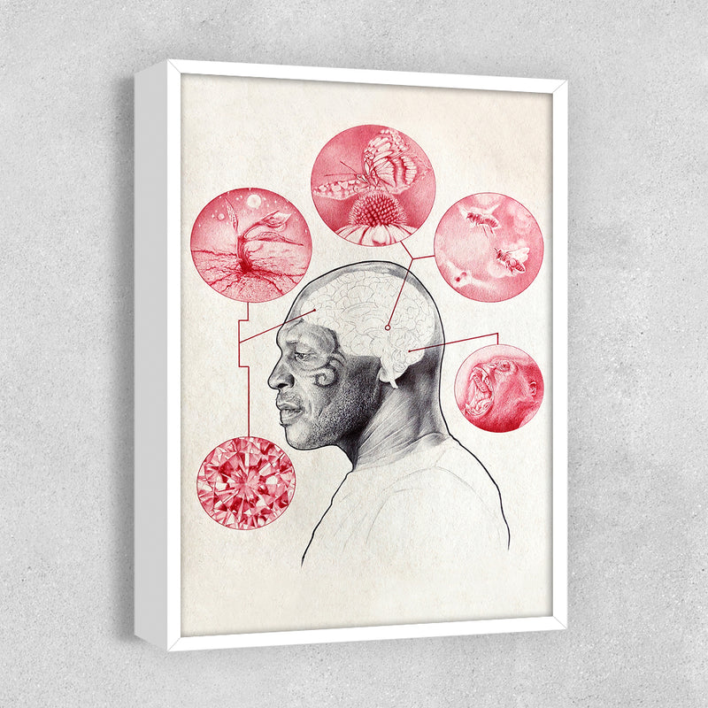 Bee & Butterfly Survival - Zero & Emily