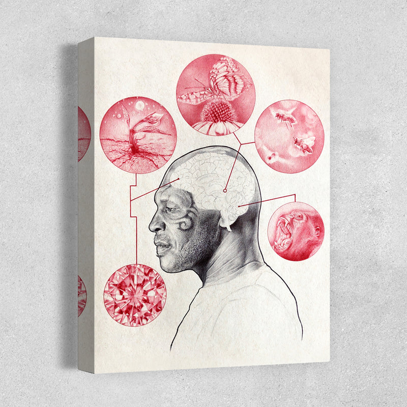 Bee & Butterfly Survival - Zero & Emily