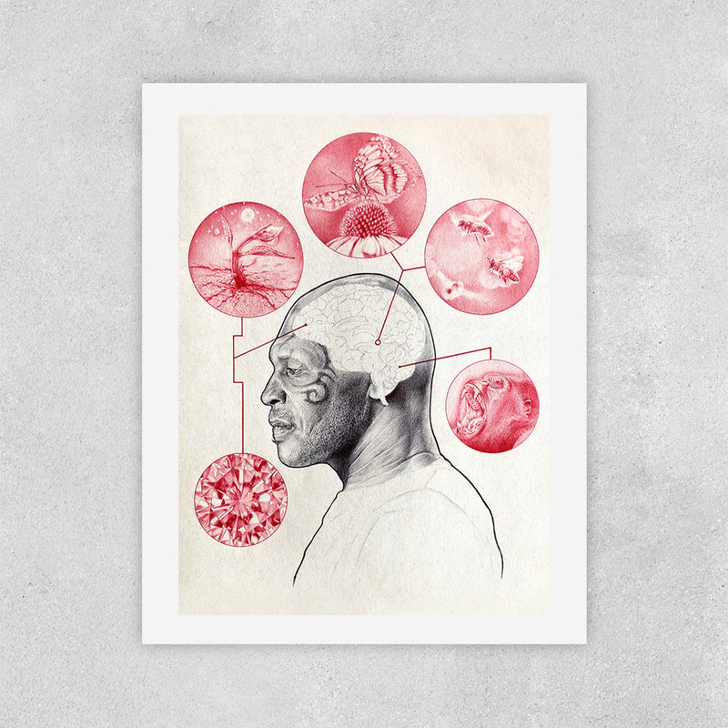 Bee & Butterfly Survival - Zero & Emily